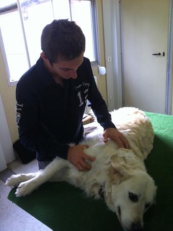 canin benj1